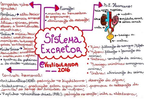 enem espaa|BRASIL (sistema actual)